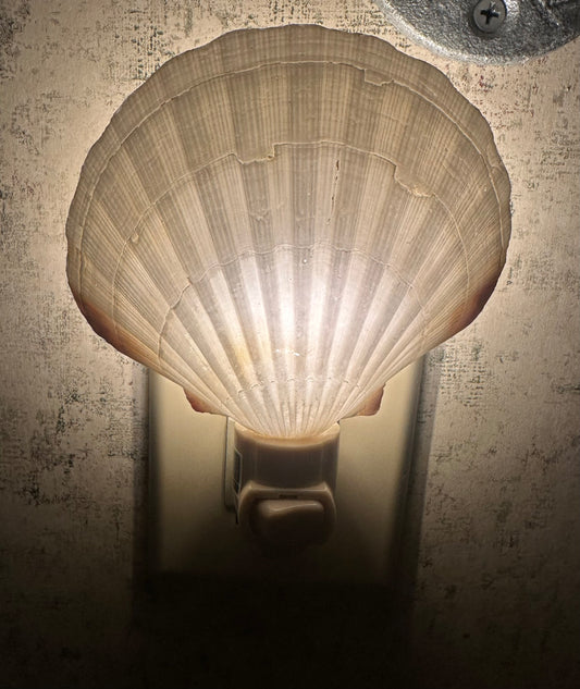 Sea Shell Night Light